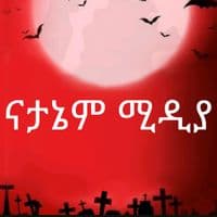 TikTok Account - natanem_media