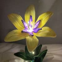 TikTok Account - crescent_crystalsco