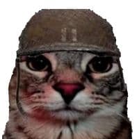 TikTok Account - soyelgat0