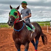 TikTok Account - turfargentino96