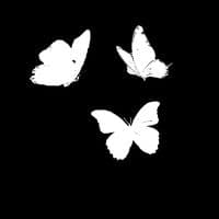 TikTok Account - noahrodriguzial