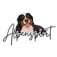 TikTok Account - alpenspiritbmd