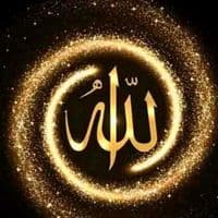 TikTok Account - saadiaelhabib1