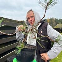 TikTok Account - tsubikov