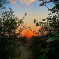 TikTok Account - pindaally442