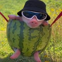 TikTok Account - ggeon22