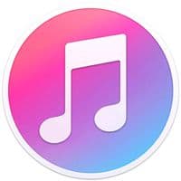 TikTok Account - musrec2026