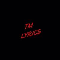 TikTok Account - tmlyrics8