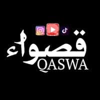 TikTok Account - qaswa_524