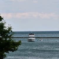 TikTok Account - salsapalcorazon