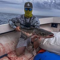 TikTok Account - keezymedia