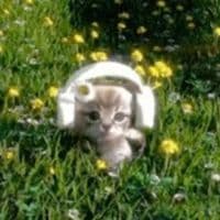 TikTok Account - lyricls