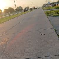 TikTok Account - enrique.garcia576