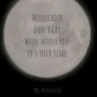TikTok Account - 1.moonchild