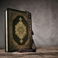 TikTok Account - quranuna011