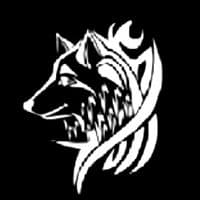 TikTok Account - bozkurtt_4646