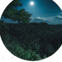 TikTok Account - worldnaturevideos