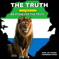 TikTok Account - nabiljaysesay