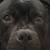 TikTok Account - notjusttcarter