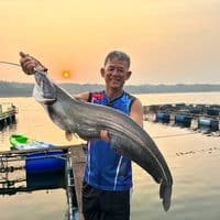 TikTok Account - phaeaomzuk