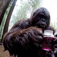 TikTok Account - jsaranks