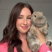 TikTok Account - haylieschick