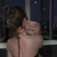 TikTok Account - memo_mmoo