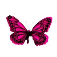 TikTok Account - sitdownsaweetie