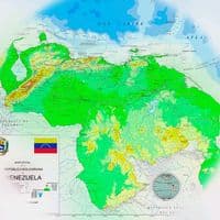 TikTok Account - clariinforma