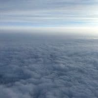 TikTok Account - red_1006