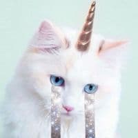 TikTok Account - lighterjay