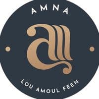 TikTok Account - amna__business