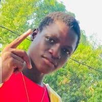 TikTok Account - dinolopes133