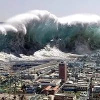 TikTok Account - weather.weather0