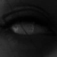 TikTok Account - factsforyouforsure