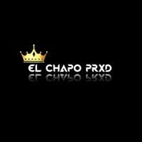 TikTok Account - official.elchapo