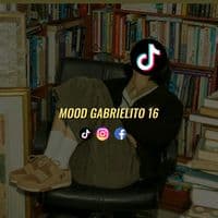 TikTok Account - mood_gabrielito16oficial