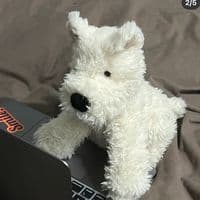 TikTok Account - ch1m2000