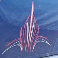 TikTok Account - pinstripingbyroger