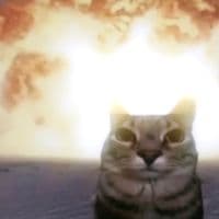 TikTok Account - yeiize