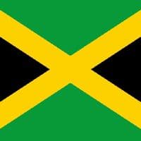 TikTok Account - jamaica4lifee