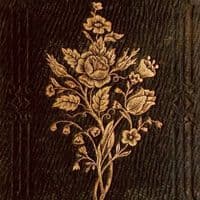 TikTok Account - eternaliann