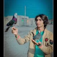 TikTok Account - dgintezar