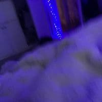 TikTok Account - augsecret1