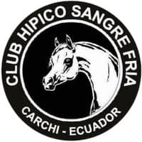 TikTok Account - sangref2020