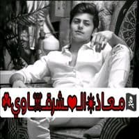 TikTok Account - dy1451ltitopop