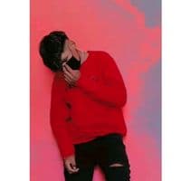 TikTok Account - limbert963