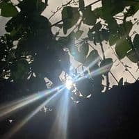 TikTok Account - mouhamed5808