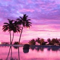 TikTok Account - trendyaudios333