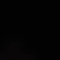 TikTok Account - 2goatedforlife0